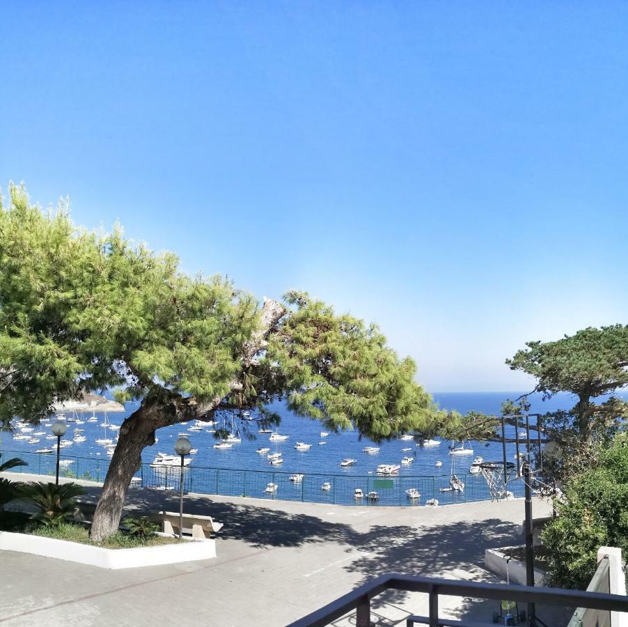 Calise Guest House Redang Island Dış mekan fotoğraf